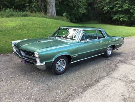 1965 Pontiac GTO Hard top older “frame off restoration  - Hemmings.com Pontiac Gto For Sale, 1965 Pontiac Gto, 70s Cars, Pontiac Tempest, Pontiac Gto, Dream Cars, Cars For Sale, Cars, Vehicles