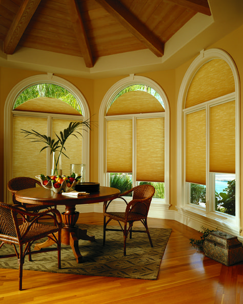 Duette and Applause cellular shades from Hunter Douglas can also be ordered for Arch Top and Angled windows from Window Inspirations in Winnipeg. Arched Window Coverings, Arched Window Treatments, Custom Window Coverings, Shaped Windows, Diy Window Treatments, Beige Curtains, Honeycomb Shades, Faux Wood Blinds, House Blinds