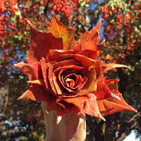 Turn colorful autumn leaves into a rose bouquet - tutorial | Five Marigolds Autumn Leaves Bouquet, Umbrella Project, Leaf Roses, Autumn Celebration, Autumn Diy, Autumn Bouquet, Bouquet Tutorial, Autumn Rose, Rose Tutorial