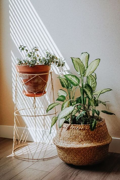 Tomato Cage Plant Stand, Boho Plant Pots, Boho Plant Stand, Roof Plants, Plants Stand, Backyard Plan, Plant Pot Covers, Outdoor Designs, Growing Gardens