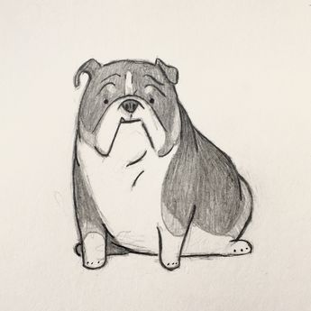 Chaucer process pics. Tried to get a lot of bleed so there were non harsh lines transitioning from black to brown to white. • #commission… Bulldog Doodle, English Bulldog Drawing, Bulldog Sketch, Cartoon Bulldog, Bulldog Illustration, Bulldog Drawing, Dog Comics, Dog Sketch, Bulldog Art