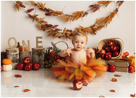 Fall Harvest Cake, Fall Baby Birthday, Halloween Baby Photos, Harvest Cake, Buck Photography, Fall First Birthday, Fall Baby Pictures, Cake Smash First Birthday, Fall 1st Birthdays