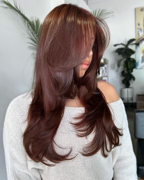 22 Luxe And Spicy Fall Hair Colors For Brunettes To Obsess Over Chocolate Auburn Hair, A Layered Haircut, Fall Hair Colors For Brunettes, Hair Colors For Brunettes, Colors For Brunettes, Brunette Ombre, Long Hair Care, Brown Hair Color Ideas, Chocolate Brown Hair Color