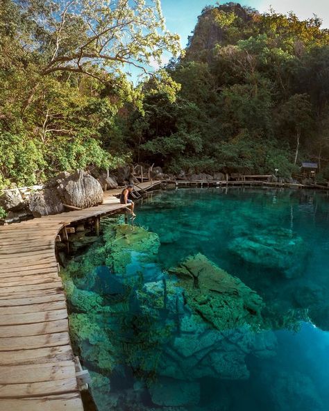 Kayangan Lake, Philippine Holidays, Coron Palawan, The Perks Of Being, Senior Trip, Quezon City, Coron, Philippines Travel, Swimming Holes