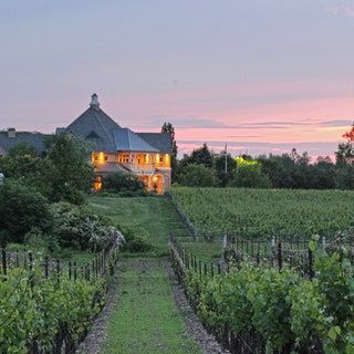 3 Best Day Trips from Toronto | Condé Nast Traveler Niagara Falls Trip, Winery Restaurant, Niagara Region, Niagara On The Lake, Best Wine, Conde Nast Traveler, Fall Travel, Wine Tour, Wine Region