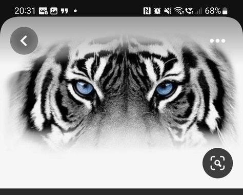 Tiger Eyes Tattoo, Hair Tattoo Designs, Tiger Face Tattoo, Animal Sleeve Tattoo, Tattoo Lion, Eyes Tattoo, Christian Sleeve Tattoo, Buddha Tattoo Design, Realistic Tattoo Sleeve