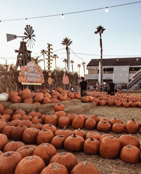 Pumpkin Farm, Autumn Tree, Feel Like Home, Leaf Garland, Pumpkin Patch, Table Centerpieces, Pumpkins