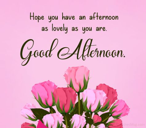 Good Afternoon Messages for Him - WishesMsg Afternoon Messages For Him, Good Afternoon Messages, Afternoon Messages, Afternoon Wishes, Good Afternoon Images, Afternoon Images, Messages For Him, Good Afternoon, Pink Roses