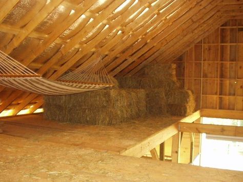 hammock in the hay loft Hay Loft Ideas, Dream Barn Stables, Barn Layout, Diy Horse Barn, Hay Loft, Horse Barn Ideas Stables, Barn Loft, Horse Barn Designs, Dream Stables