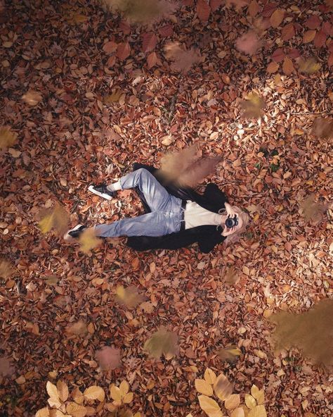 Laying In Leaves, Fall Photoshoot Ideas, Leaves Photo, Changing Leaves, Great Backgrounds, Photo Stands, Fall Photoshoot, Great Falls, Fall Pictures