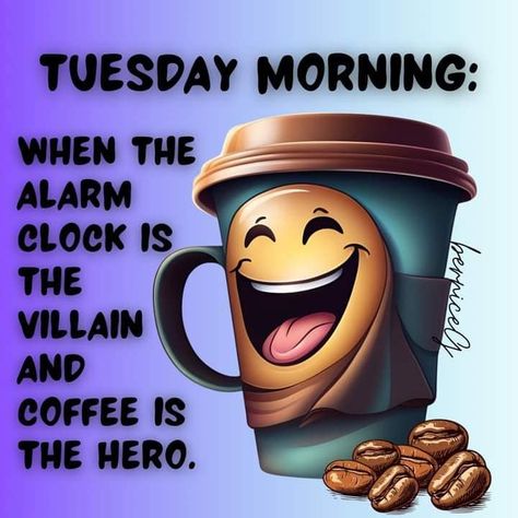 Happy Tuesday Tuesday Coffee, Cold Quotes, Morning Coffee Funny, Friday Meme, Coffee Meme, Coffee Geek, Good Morning Tuesday, Tuesday Humor, Coffee Queen