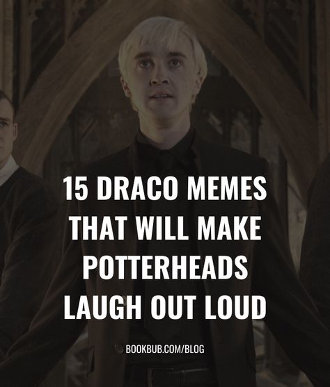 Harry Potter fans are sure to get a kick out of these hilarious Draco Malfoy memes.  #harrypotter #dracomalfoy #pottermemes Harry Potter Jokes Draco Malfoy, Harry Potter Memes Hilarious Draco Malfoy, Harry Potter Books According To Draco, Harry Potter Funny Jokes, Funny Harry Potter Jokes Hilarious, Harry Potter Memes Draco Malfoy Funny, Funny Draco Malfoy Pictures, Slytherin Jokes, Facts About Draco Malfoy