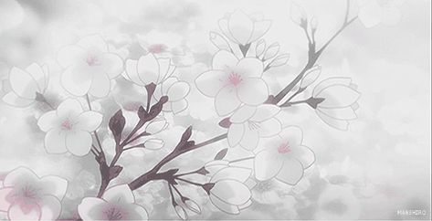 Pretty Banner Gif, White Aesthetic Header Gif, White Animated Banner, Gif White Banner, Cute Headers Gif, Pretty Discord Banners, White Anime Aesthetic Gif, Nitro Banner Discord, White Anime Banner Gif