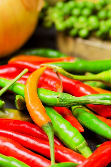 Chili Pepper Hot Sauce Recipe, Chili Pepper Plant, Thai Chili Peppers, Thai Chili Paste, Thai Peppers, Hot Pepper Recipes, Thai Chili Pepper, Chili Pepper Recipes, Pepper Salsa