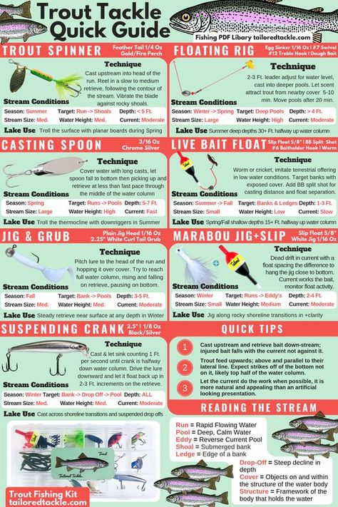 Trout Fishing Gear, Fish Chart, Trout Fishing Lures, Fishing Basics, Rainbow Trout Fishing, Trout Fishing Tips, Fishing For Beginners, Bass Fishing Tips, Fishing Diy