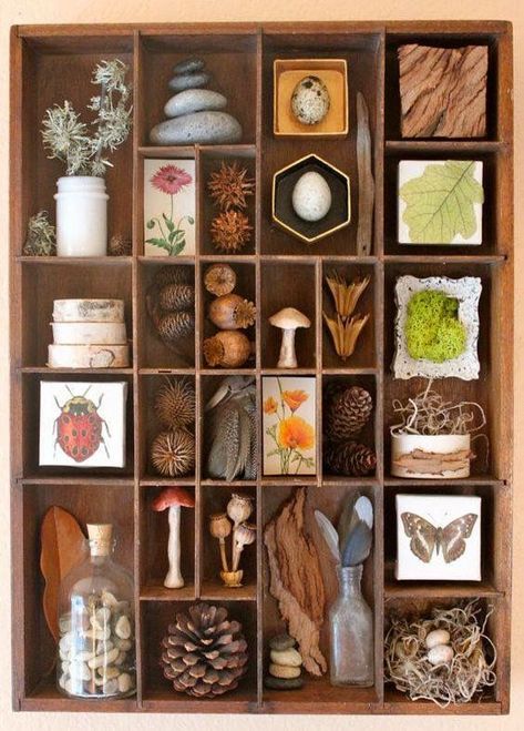 Collected Nature Art Displays Koti Diy, Reggio Inspired Classrooms, Printers Drawer, Instagram Challenge, Printers Tray, Shadow Box Art, Nature Table, Art Organization, Find Objects