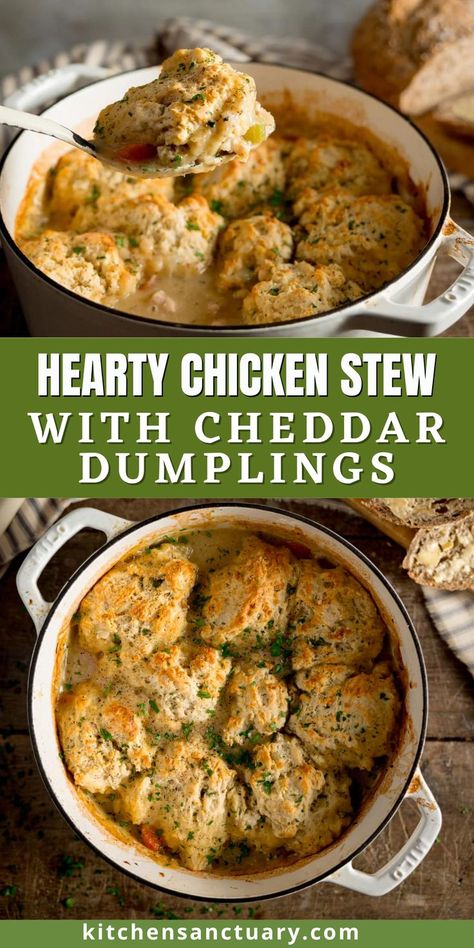 Cheddar Dumplings, Chicken Stew And Dumplings, Chicken Dumpling Soup, Pork Casserole, Stew And Dumplings, Homemade Chicken And Dumplings, Quick Pasta Recipes, Homemade Dumplings, Stew Chicken Recipe