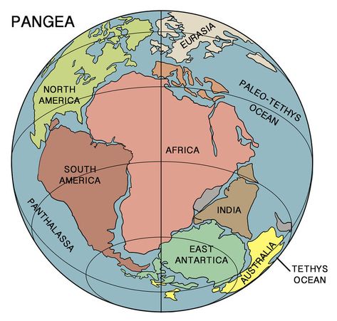 Alfred Wegener, Paleozoic Era, Earth Science Lessons, Earth Layers, Continental Drift, Continents And Oceans, Indian History Facts, History People, Plate Tectonics