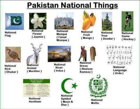 Pakistan National Things 2nd Grade Reading Worksheets, Pakistan Pictures, General Knowledge For Kids, Pakistan Map, Pakistan Culture, History Of Pakistan, Pakistan Day, Pakistan Independence, Pakistan Independence Day