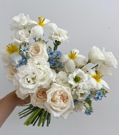 Monochromatic Bouquet, Wedding Table Layouts, Monochromatic Wedding, Elegant Wedding Bouquets, Blue White Weddings, Flowers Bride, Bouquet Bride, Wedding Bouquets Bride, Spring Wedding Flowers