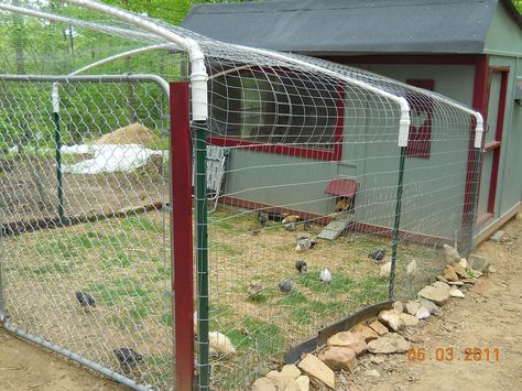 how to keep other dogs jumping your fence | ... fence doesn t have to be tight enough to keep out night time predators Pigeons Birds, Chicken Fence, Cute Chicken Coops, Chicken Coop Garden, Easy Chicken Coop, Backyard Chicken Coop Plans, Diy Chicken Coop Plans, Bird Netting, Chicken Coop Run