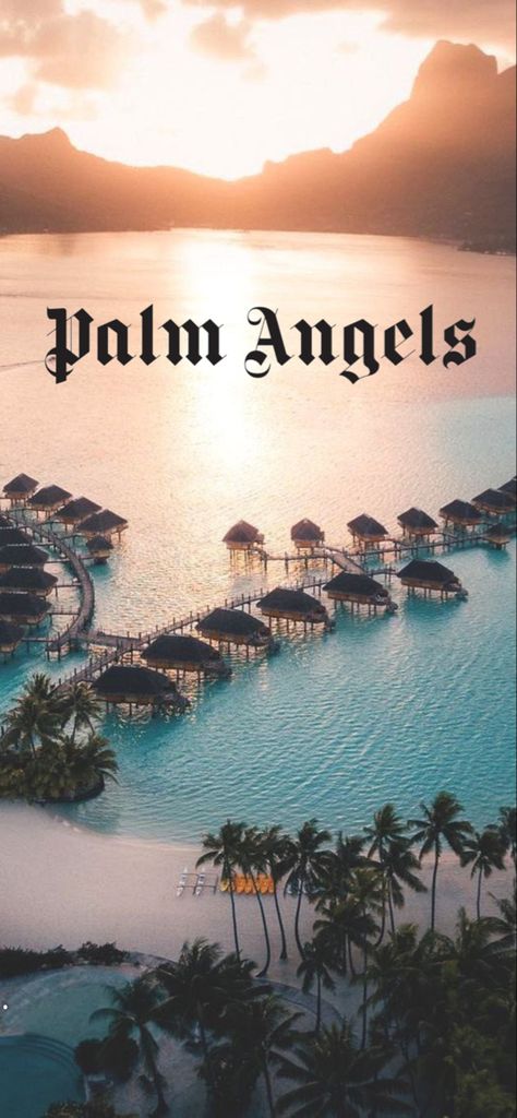 Palm Angles Brand Wallpaper, Palm Angels Wallpaper Iphone, Palm Angels Wallpaper, La Wallpaper, Angels Wallpaper, Luxury Graphic Design, Framing Ideas, Angel Wallpaper, Cute Couple Halloween Costumes