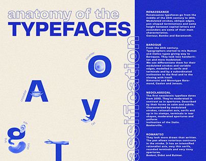 Type Anatomy Poster, Profile Anatomy, Typeface Classification, Anatomy Of Typography, Typeface Specimen, Type Anatomy, Type Classification, Type Poster, Illustration Typography