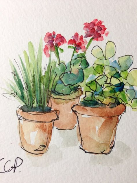 Flowers In A Pot, Potted Geraniums, Canvas For Beginners, Watercolor Card, Watercolour Inspiration, Watercolor Flower Art, Watercolor Painting Techniques, Cat Air, 수채화 그림