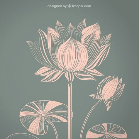 Lotus Vector Illustration, Lotus Flower Illustration, Lotus Illustration, Abstract Lotus, Lotus Drawing, Lotus Vector, Lotus Logo, Flower Tattoo Drawings, Lotus Flower Art