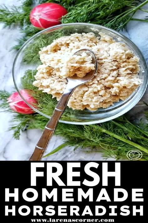 Fresh Homemade Horseradish Recipe Canning Horseradish, Homemade Horseradish, Horseradish Recipes, Salad Bacon, Relish Sauce, Fresh Horseradish, Homemade Sausage Recipes, Broccoli Salad Bacon, Homemade Sauce Recipes