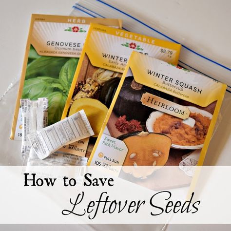 How to Store Leftover Seeds Survival Vehicle, Buttercup Squash, Homestead Blog, Lasagna Gardening, Organic Gardening Pest Control, Vegetables Garden, Whey Isolate, Hobby Farm, Gardening Books