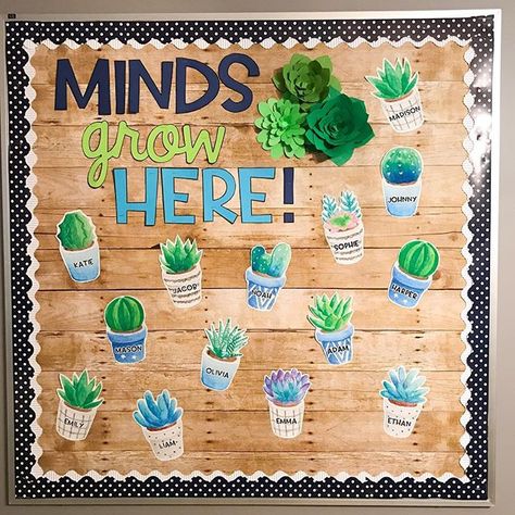 Totally in ❤️ with my welcome back bulletin board set! My 3D succulents look amazing with it! Can I leave it up all year please? Welcome Bulletin Board, Welcome Bulletin Boards, Succulent Theme, Spring Bulletin, Classroom Style, Spring Bulletin Boards, Back To School Bulletin Boards, Classroom Board, Ra Ideas