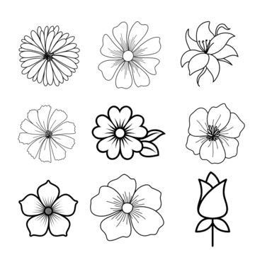 Different Type Of Flowers Drawings, Types Of Flowers Sketch, Drawable Flowers, Flower Line Sketch, Doodle Flower Drawings, 2d Flower Drawing, All Types Of Flowers Drawing, Cute Drawings Flowers Simple, Symmetrical Flower Drawing