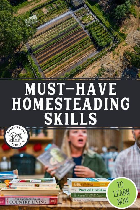 Learning basic homesteading skills is the best approach for sustainable living in urban or rural settings. Use this guide to get started. Homestead Skills, Kitchen Skills, Homesteading Skills, Urban Homesteading, Foundational Skills, Community Gardening, Rural Area, Skills To Learn, Improve Health