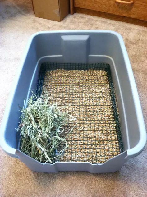 litter box - Imgur Bunny Litter, Bunny Litter Box, Greenhouse Shelves, Diy Rabbit Cage, Rabbit Enclosure, Pet Rabbit Care, Rabbit Litter, Rabbit Ideas, Rabbit Litter Box