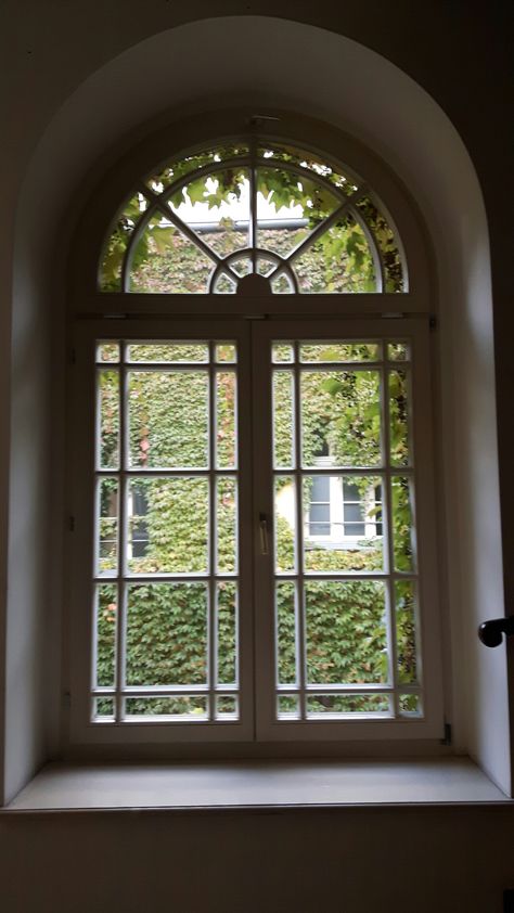 Historic Windows, European Windows, Old Victorian House, Victorian Windows, Square Windows, Wainscoting Panels, House Window, Beautiful Windows, Vintage Windows