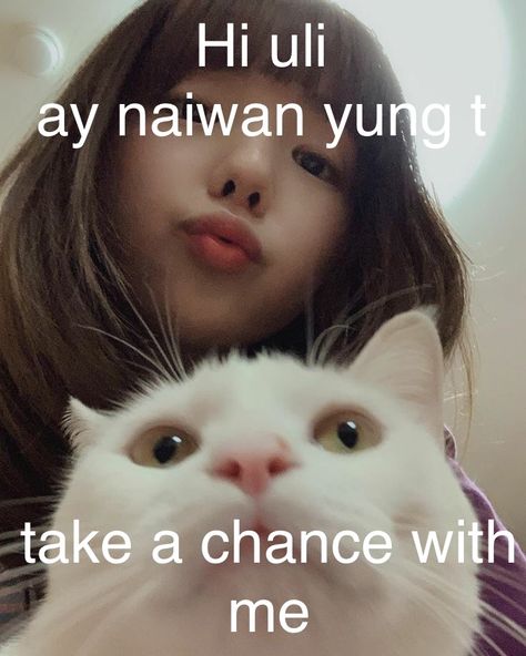 hi uli— ay naiwan yung t.. take a chance with me Take A Chance With Me, Filo Memes, Funny Texts Jokes, Take A Chance, Text Jokes, Report Card, Jokes Pics, Random Thoughts, Roblox Codes