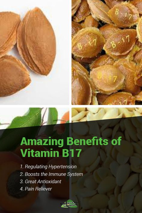 Vitamin B17 Benefits, Vitamin B2 Benefits, B17 Benefits, Vitamin B17, Vitamin B2, Body Is A Temple, The Immune System, Apricot Kernels, Rice Dishes