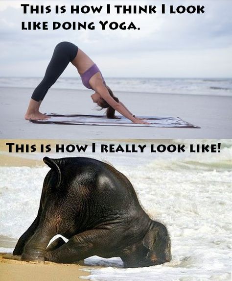 How i really look like when i do yoga! Haha, funny :-) Funny Yoga Pictures Humor, Yoga Memes Funny Hilarious, Yoga Memes Humor, Yoga Memes Funny, Yoga Funny Humor, Laughing Yoga, Funny Yoga Pictures, Yoga Jokes, Funny Yoga Poses