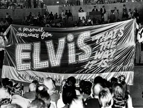 Elvis Presley Desktop Wallpaper, Elvis Presley Wallpaper, Elvis Wallpaper, Elvis Presley Graceland, Wallpaper Landscape, The Ed Sullivan Show, Class Pictures, Vegas Shows, Elvis Movies