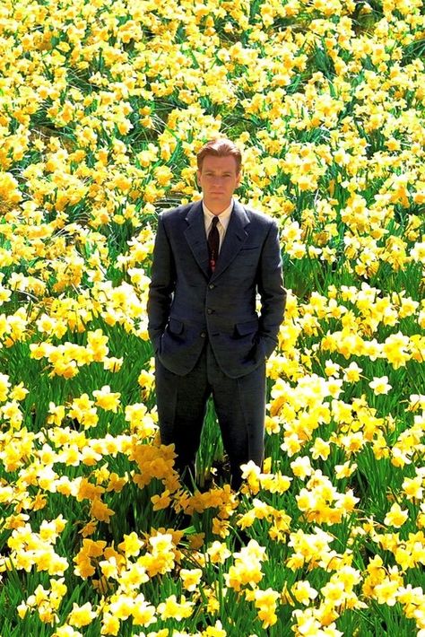 Ewan McGregor in Big Fish ~ also I think this shot is the reason I <3 yellow flowers; ESPECIALLY daffodils and roses! Big Fish Movie, Ewan Mcgregor Obi Wan, I Love Cinema, Movie Shots, Trainspotting, Ewan Mcgregor, Love Movie, Big Fish, Film Stills