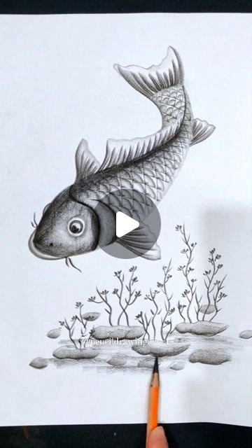 Fish Pencil Drawing, Drawing Of Fish, Drawn Fish, Fish Drawing, Fish Drawings, Art Pencil, Drawing Pencil, Animal Sketches, If You