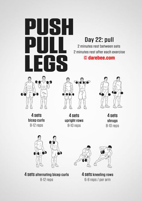 Bench Workouts, Push Pull Legs Workout, Dumbbell Workout Plan, Pull Day Workout, Push Pull Legs, Dumbbell Exercises, Full Body Dumbbell Workout, Bench Workout, Pregnancy Workouts