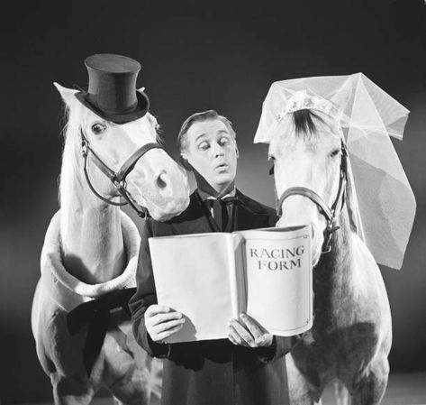 Mr Ed, Mister Ed, Alan Young, Classic Television, Seriously Funny, Old Tv Shows, White Photos, Old Tv, Show Photos