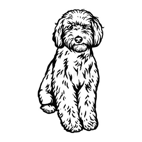 Friendship Silhouette, Labradoodle Drawing, Labradoodle Art, Beagle Colors, Schnoodle Dog, Puppy Crafts, Labradoodle Dog, Retro Style Posters, Labradoodle Dogs