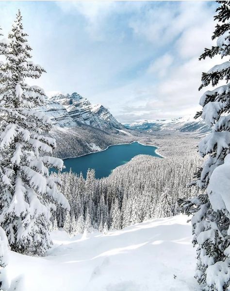 Home Stead, Peyto Lake, Magical Winter, Mountain Photos, Photo Nature, Canadian Rockies, Winter Pictures, Banff National Park, Travel Photographer