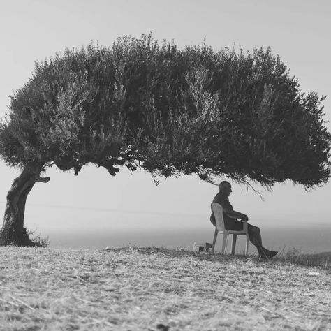 . "The Tree of Life, Om Ezitouna" Photograph by Skander Khlif. _ "The Tree of Life, Om Ezitouna" is a photograph captured by Skander Khlif, a Munich-based Tunisian photographer known for his compelling street and documentary photography. His work often explores themes of culture, heritage, and everyday life in both Europe and North Africa. This particular photograph reflects Khlif's signature style, capturing powerful moments that resonate with both personal and collective stories. "Om Ez... Man And Nature, A Beautiful Soul, Nature Architecture, Sacred Places, The Tree Of Life, Documentary Photography, Olive Tree, Photojournalism, North Africa