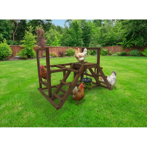 Diy Chicken Coop Ideas, Chicken Perch, Chicken Coop Accessories, Chicken Perches, Coop Accessories, Cheap Chicken Coops, Build A Chicken Coop, Chickens Farm, Portable Chicken Coop