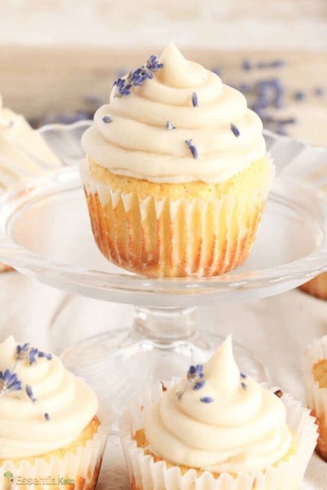 Elegant low carb lavender and vanilla cupcake! This delicious cupcake is sugar free and gluten free. It is the perfect keto friendly mother's day or birthday cake and the very best low carb vanilla cupcake recipe you'll find anywhere. Enjoy... Lavender Themed Cupcakes, Best Vanilla Cupcake Recipe, Moist Vanilla Cupcakes, Lavender Cupcakes, Keto Cupcakes, Lavender Recipes, Avocado Chocolate Mousse, Vanilla Cupcake Recipe, Culinary Lavender