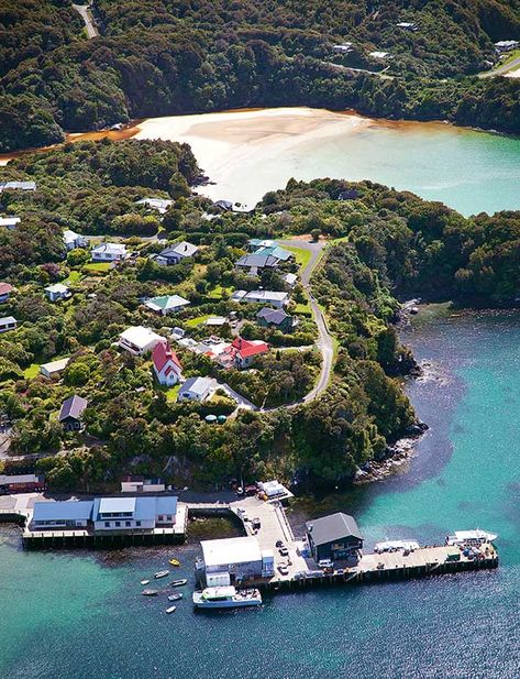 The Insider's Guide to Stewart Island: What to do, where to eat and where to stay - thisNZlife Stewart Island Nz, Stewart Island New Zealand, Stewart Island, Zsa Zsa Gabor, New Zealand Adventure, Visit New Zealand, Zsa Zsa, Oceania Travel, Travel Canada